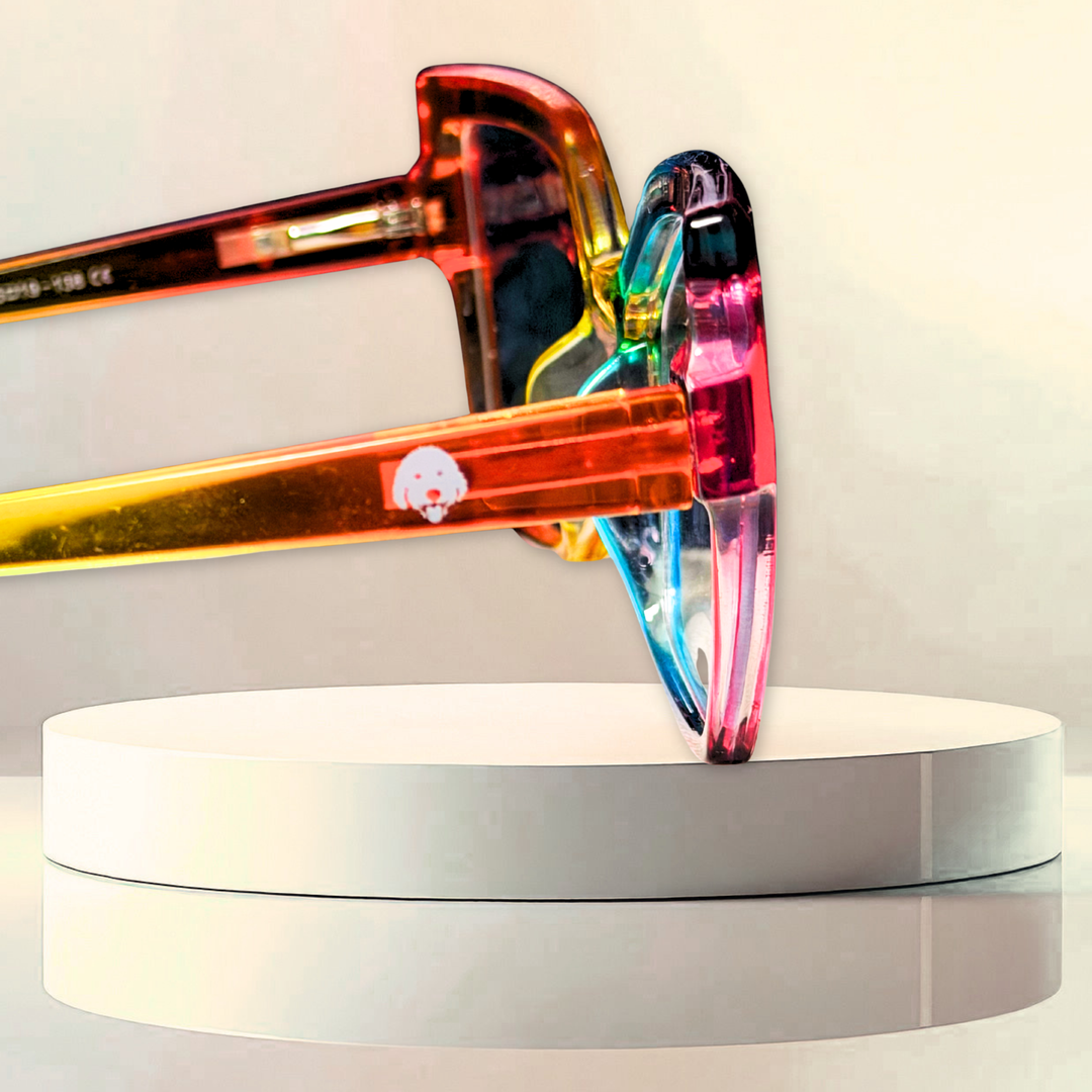 Rainbow Glasses